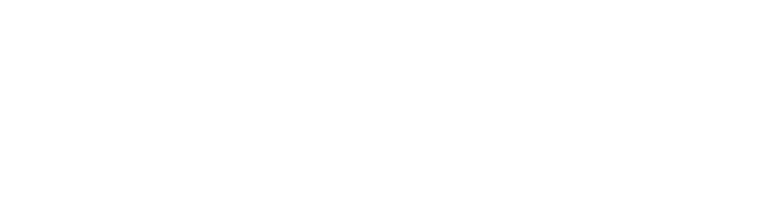 Ververica Logo Horizontal - White